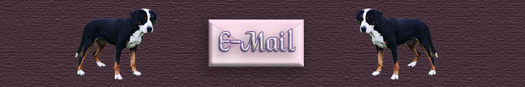 E-mail