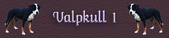 Valpkull 1